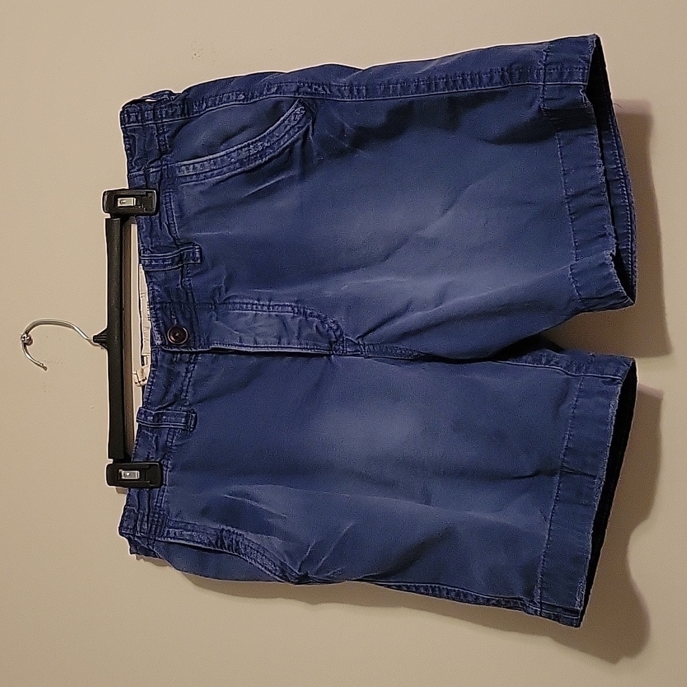 Vintage 34x7 Distressed Abercrombie Shorts Blue